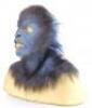 Lot #868 - X-MEN: FIRST CLASS (2011) - Beast (Nicholas Hoult) Master Cowl and Wig - 3
