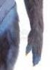 Lot #869 - X-MEN: FIRST CLASS (2011) - Beast's (Nicholas Hoult) Hairsuit and Cowl - 6