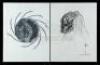 Lot #45 - AVP: ALIEN VS PREDATOR (2004) - Set of Three Hand-Illustrated Yautja Designs - 4