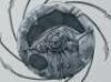 Lot #45 - AVP: ALIEN VS PREDATOR (2004) - Set of Three Hand-Illustrated Yautja Designs - 6