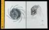 Lot #45 - AVP: ALIEN VS PREDATOR (2004) - Set of Three Hand-Illustrated Yautja Designs - 9
