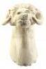 Lot #702 - STAR WARS: THE EMPIRE STRIKES BACK (1980) - Early Tauntaun Puppet Sculpt Head Casting - 5