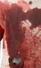 Lot #576 - SAW (2004) - Jigsaw's (Tobin Bell) Screen-Matched Bloodied "Hello Zep" Costume - 5