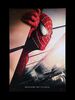 Lot #138 - SPIDER-MAN (2002), SPIDER-MAN 2 (2004), SPIDER-MAN 3 (2007) - Three US One-Sheets, 2002, 2004, 2007 - 5