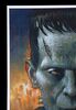 Lot #185 - FRANKENSTEIN (1931) - Mondo Poster, 2018 - 2