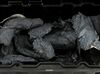 Lot #159 - Marvel's Agents of S.H.I.E.L.D. - Case of Terrigen Husks - 4