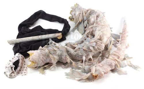 Lot #193 - Marvel's Agents of S.H.I.E.L.D. - Jemma Simmons' Maveth Bag, Water Creature Tentacle and Rock Hammer