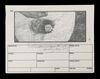 Lot #5 - 2010: THE YEAR WE MAKE CONTACT (1985) - Hand-Drawn Storyboards: Jupiter Escape - 3