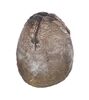 Lot #19 - ALIENS (1986) - Xenomorph Egg - 2