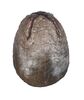 Lot #19 - ALIENS (1986) - Xenomorph Egg - 5