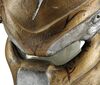 Lot #33 - AVP: ALIEN VS. PREDATOR (2004) - Elder Predator Bio-Mask - 6