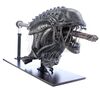 Lot #35 - ALIENS VS. PREDATOR: REQUIEM (2007) - Xenomorph Warrior Insert Head with Display Stand