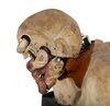 Lot #39 - AN AMERICAN WEREWOLF IN LONDON (1981) - Rick Baker SFX "Change-O" Mechanical Werewolf Transformation Bust - 17