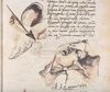 Lot #41 - ANGELS & DEMONS (2009) - Ancient Vatican "Bernini" Ledger - 24