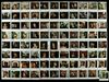 Lot #149 - BUFFY THE VAMPIRE SLAYER (TV SERIES, 1997-2003) - Buffy Summers (Sarah Michelle Gellar) and Additional Character Polaroids with Crew Waist Bag