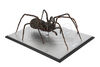 Lot #211 - DOCTOR WHO: "PLANET OF THE SPIDERS" (1974) - Giant Metebelis III Spider