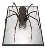 Lot #211 - DOCTOR WHO: "PLANET OF THE SPIDERS" (1974) - Giant Metebelis III Spider - 4