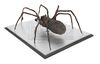 Lot #211 - DOCTOR WHO: "PLANET OF THE SPIDERS" (1974) - Giant Metebelis III Spider - 9