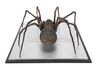 Lot #211 - DOCTOR WHO: "PLANET OF THE SPIDERS" (1974) - Giant Metebelis III Spider - 10