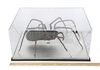 Lot #211 - DOCTOR WHO: "PLANET OF THE SPIDERS" (1974) - Giant Metebelis III Spider - 13