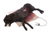 Lot #215 - DRACULA (TV MINI-SERIES, 2020) - Dracula's (Claes Bang) Dead Transformation Wolf