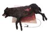 Lot #215 - DRACULA (TV MINI-SERIES, 2020) - Dracula's (Claes Bang) Dead Transformation Wolf - 3