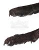 Lot #215 - DRACULA (TV MINI-SERIES, 2020) - Dracula's (Claes Bang) Dead Transformation Wolf - 7