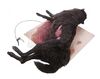 Lot #215 - DRACULA (TV MINI-SERIES, 2020) - Dracula's (Claes Bang) Dead Transformation Wolf - 9