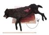 Lot #215 - DRACULA (TV MINI-SERIES, 2020) - Dracula's (Claes Bang) Dead Transformation Wolf - 12