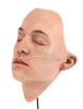 Lot #233 - EX MACHINA (2014) - Ava's (Alicia Vikander) Humanoid A.I. Face Display - 9