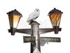 Lot #319 - HARRY POTTER AND THE PRISONER OF AZKABAN (2004) - Have You Seen This Wizard? Promotional Lamp Post - 7