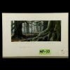 willow 1988 matte painting study willow in the forest current price 800 willow 1988 matte painting study