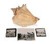 Lot #382 - JAMES BOND: DR. NO (1962) - Honey Ryder's (Ursula Andress) Conch Shell and On-set Black-and-white Photographs