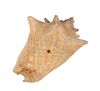 Lot #382 - JAMES BOND: DR. NO (1962) - Honey Ryder's (Ursula Andress) Conch Shell and On-set Black-and-white Photographs - 5