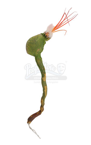 Lot #428 - JUMANJI (1995) - Poisonous Flower Pod
