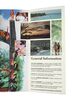 Lot #434 - JURASSIC PARK (1993) - Park Visitor Brochure - 9