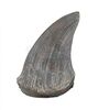 Lot #436 - JURASSIC PARK (1993) - Photo-matched T-Rex Foot Claw - 2