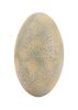 Lot #438 - JURASSIC PARK (1993) - Velociraptor Nest Egg