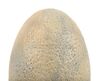 Lot #438 - JURASSIC PARK (1993) - Velociraptor Nest Egg - 3