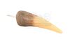 Lot #440 - THE LOST WORLD: JURASSIC PARK (1997) - T-Rex Tooth