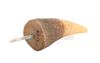 Lot #440 - THE LOST WORLD: JURASSIC PARK (1997) - T-Rex Tooth - 5