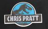 Lot #442 - JURASSIC WORLD (2015) - Steven Spielberg and Chris Pratt's Chair Backs - 6