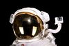 Lot #486 - THE MARTIAN (2015) - Commander Melissa Lewis' (Jessica Chastain) EVA Suit - 16