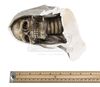 Lot #547 - PENNY DREADFUL: CITY OF ANGELS (TV SERIES, 2020-) - Cast-autographed Santa Muerte Statue Head - 11