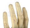 Lot #637 - STAR TREK: THE NEXT GENERATION (TV SERIES, 1987 - 1994) - Data's (Brent Spiner) Hand and Sleeve - 12