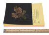 Lot #667 - STAR WARS: PREQUEL TRILOGY (1999-2005) - Padme (Natalie Portman) Funeral Pressed Flower & Call Sheets - 12