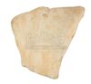 Lot #705 - STAR WARS: A NEW HOPE (1977) - Large Krayt Dragon Vertebrae - 4