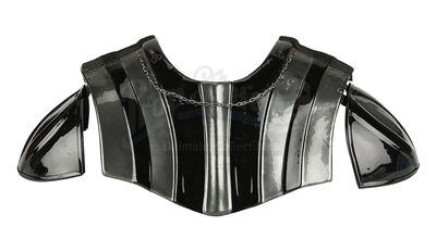 Lot #776 - STAR WARS: STAR TOURS (1987-2010) - Darth Vader Chest and Shoulder Armour