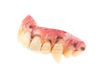 Lot #898 - THE WOLFMAN (2010) - Lawrence Talbot's (Benecio Del Toro) Teeth - 3