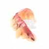 Lot #898 - THE WOLFMAN (2010) - Lawrence Talbot's (Benecio Del Toro) Teeth - 9